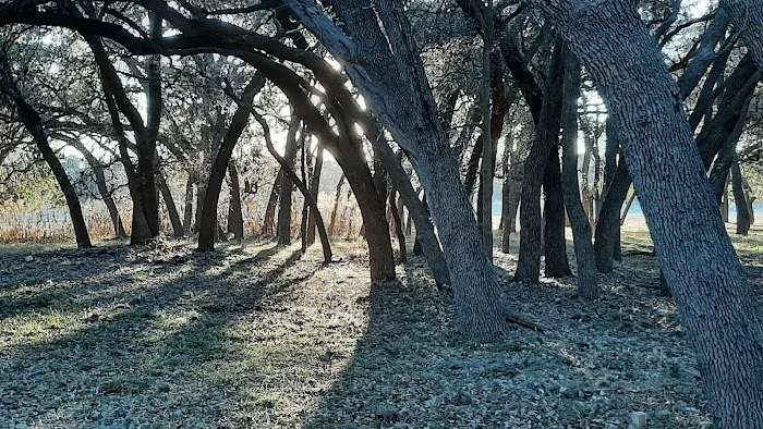 LMRV Park Picture 5
