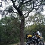 Cedar Sage Campground