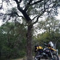 Cedar Sage Campground ico