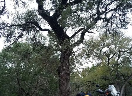 Cedar Sage Campground
