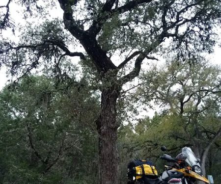 Cedar Sage Campground