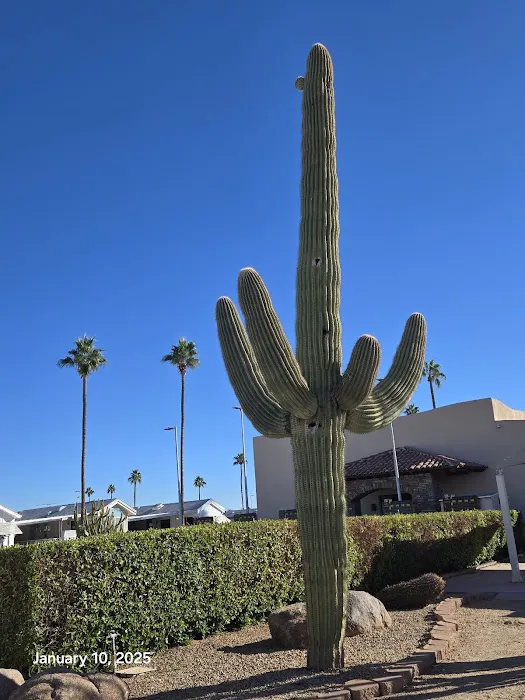 Mesa Spirit RV Resort Picture 3