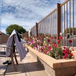 Orangewood Shadows RV Resort