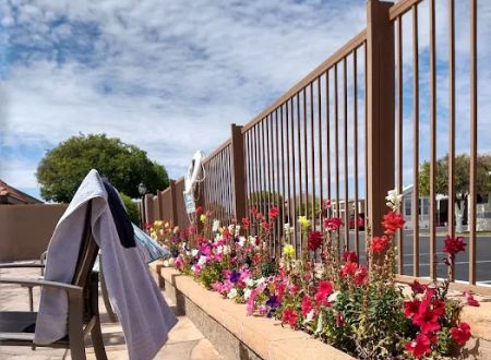 Orangewood Shadows RV Resort