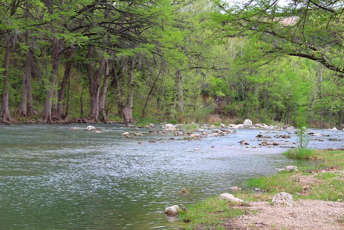 River Road Camp Inc Picture 7