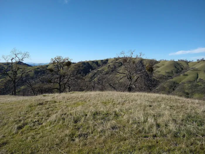 Doe Canyon Horse Camp Picture 1