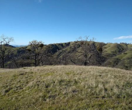 Doe Canyon Horse Camp