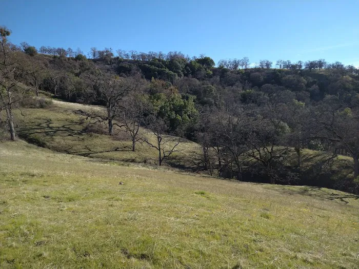 Doe Canyon Horse Camp Picture 3