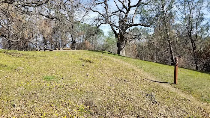 Maggie’s Half Acre Camp Picture 1