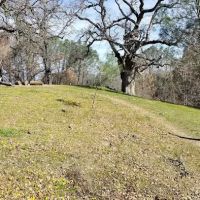 Maggie’s Half Acre Camp ico