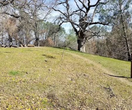 Maggie’s Half Acre Camp