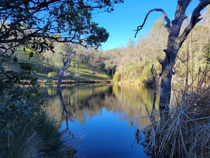 Frogs Lake Camp Picture 3