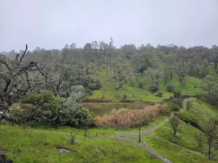Frogs Lake Camp Picture 7