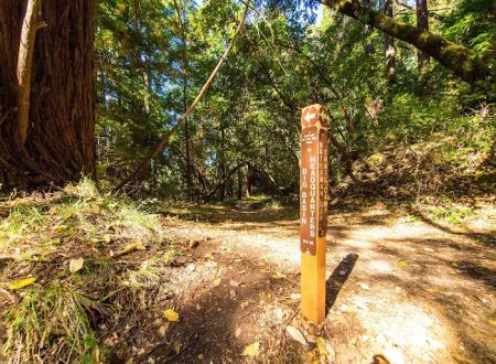 Waterman Gap Trail Camp
