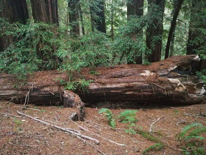 Waterman Gap Trail Camp Picture 8