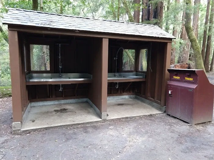 Point Group Camp, Portola Redwoods State Park Picture 1
