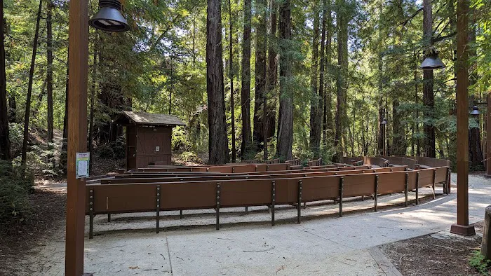 Point Group Camp, Portola Redwoods State Park Picture 5