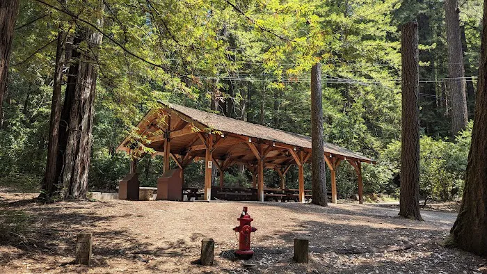 Point Group Camp, Portola Redwoods State Park Picture 6