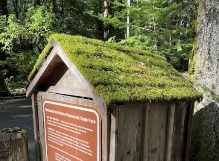 Portola Redwoods State Park Campground