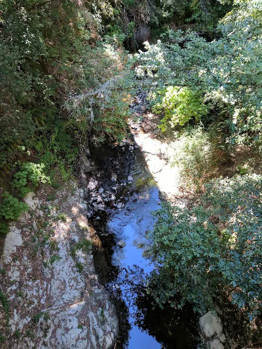 Portola Redwoods State Park Campground Picture 10