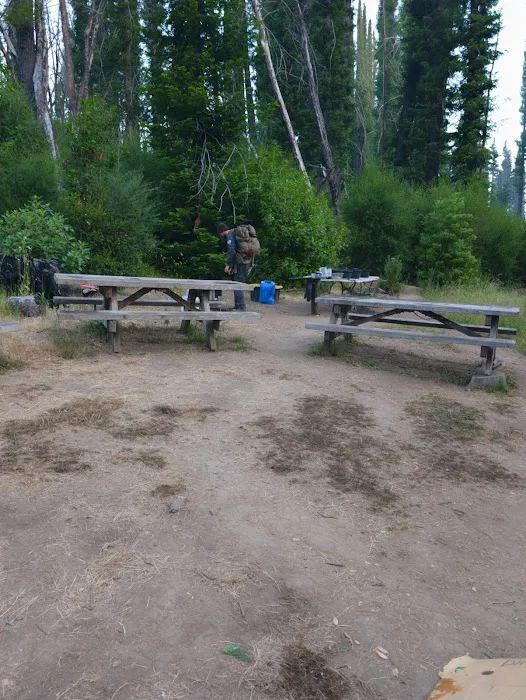 Sky Meadow Group Camp Picture 4
