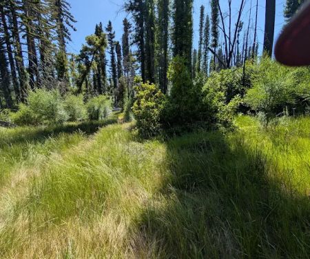 Sky Meadow Group Camp