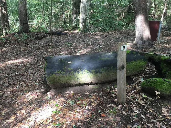 Lane Trail Camp Picture 3