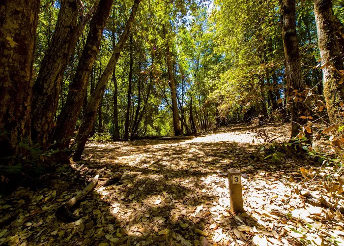 Lane Trail Camp Picture 6