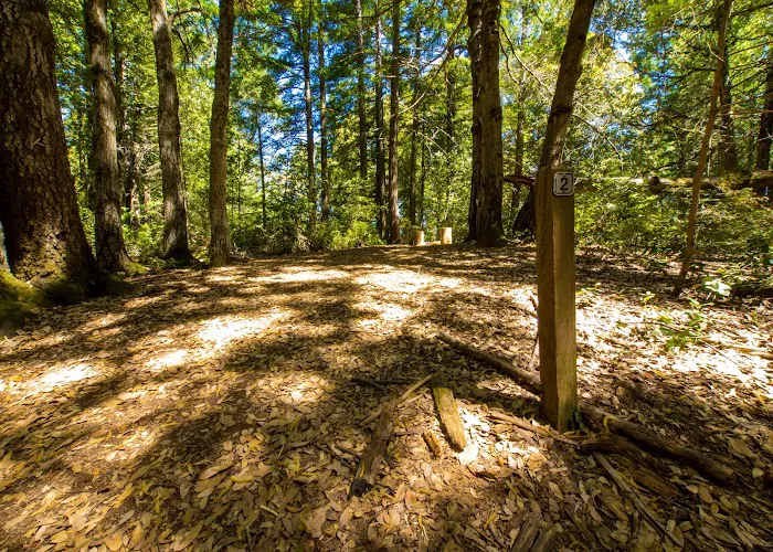 Lane Trail Camp Picture 8