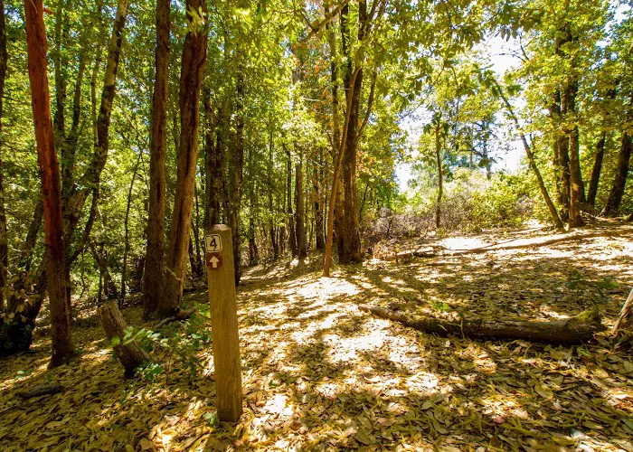 Lane Trail Camp Picture 10