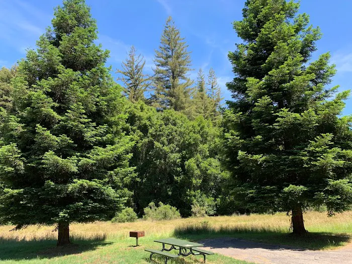 Little Basin Cabins & Campground Picture 3