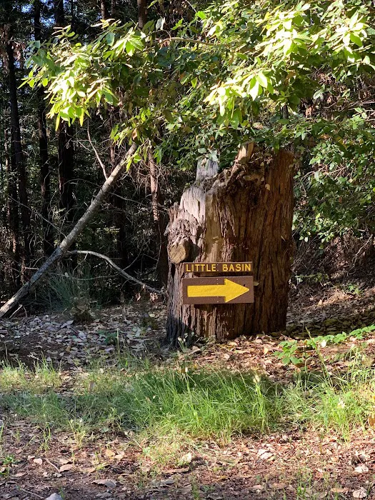 Little Basin Cabins & Campground Picture 7