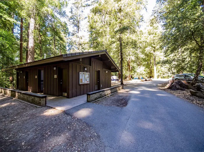 Sequoia Group Camp Picture 2