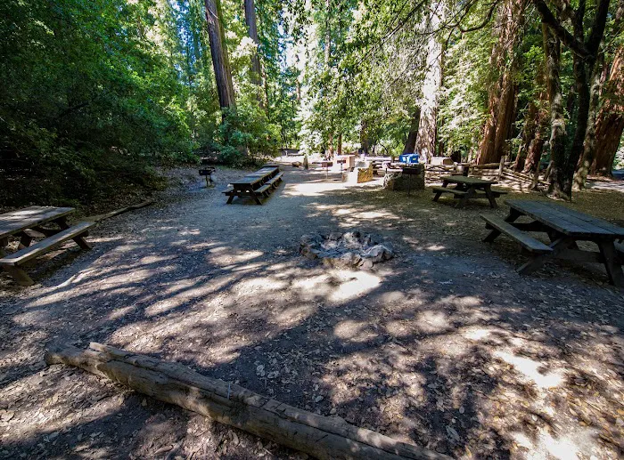Sequoia Group Camp Picture 3