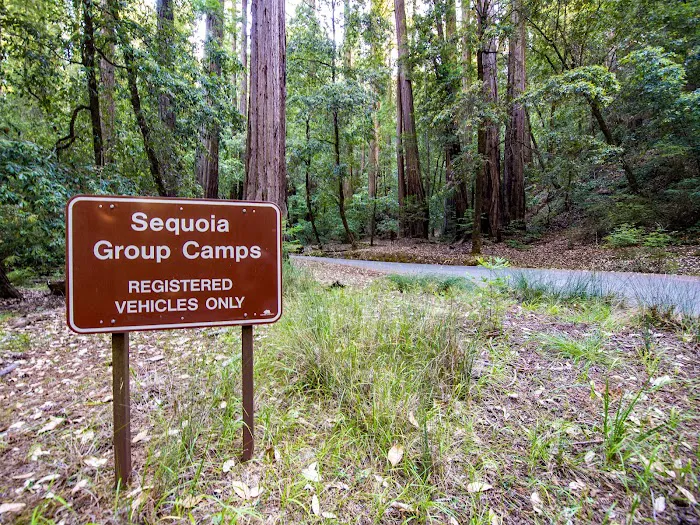 Sequoia Group Camp Picture 5