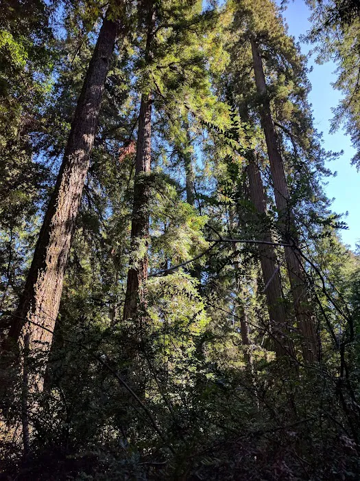 Jay Trail Camp Picture 3