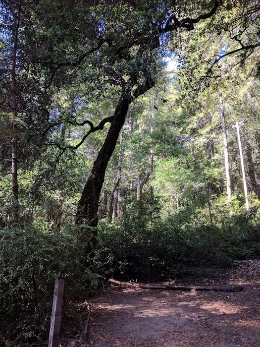 Jay Trail Camp Picture 6