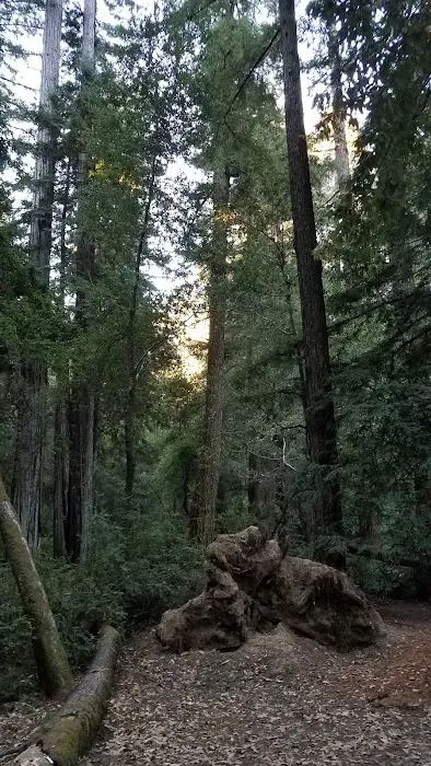 Jay Trail Camp Picture 5