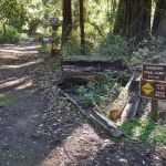 Tarwater Trail Camp