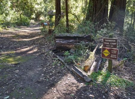 Tarwater Trail Camp