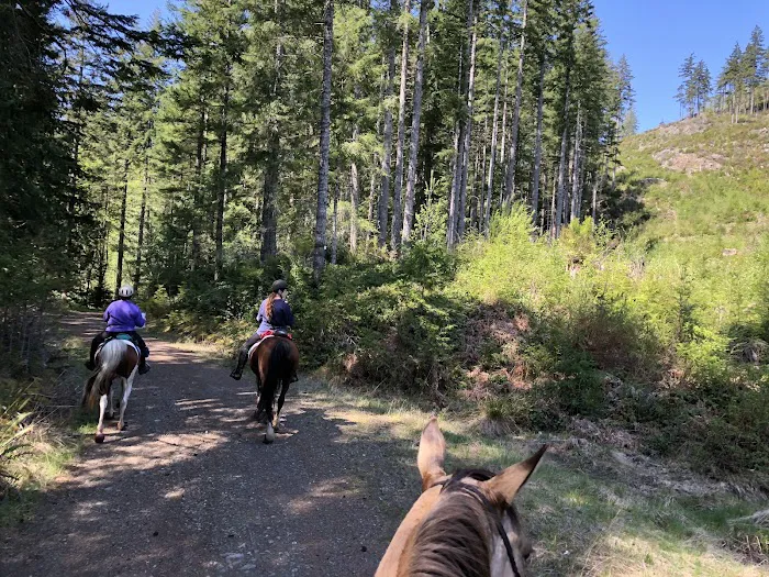 Green Mountain Horse Camp Picture 2
