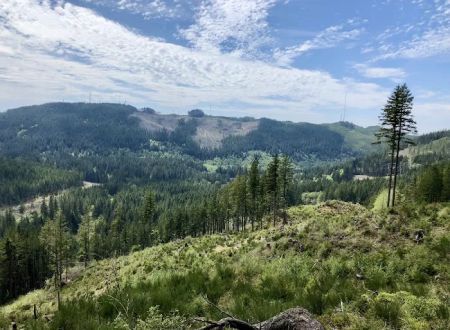 Green Mountain Horse Camp