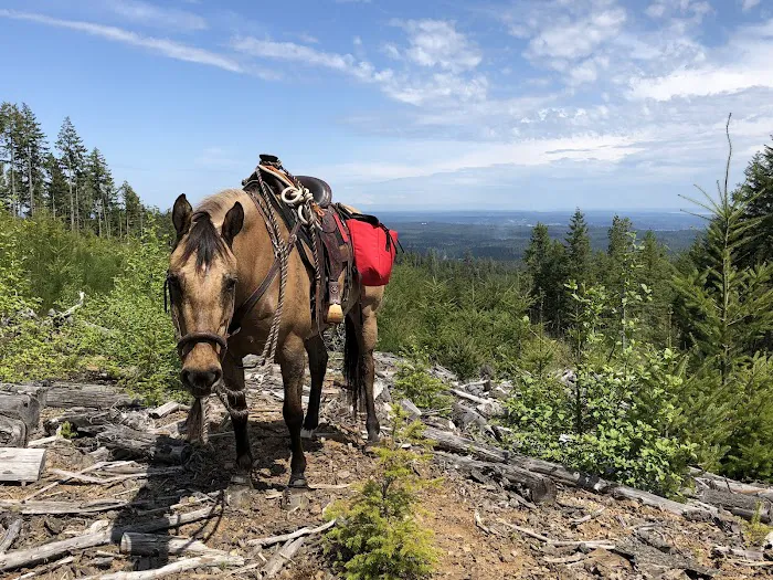 Green Mountain Horse Camp Picture 5