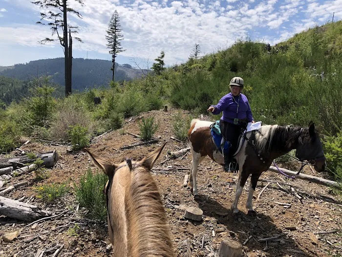 Green Mountain Horse Camp Picture 8