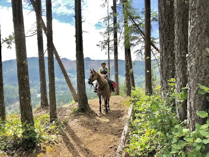 Green Mountain Horse Camp Picture 9