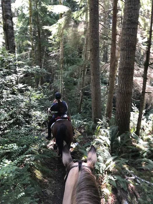 Green Mountain Horse Camp Picture 7