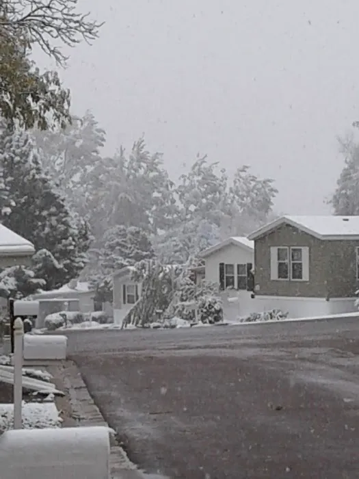 Holiday Hills Village Picture 8