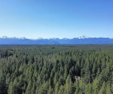 Kammenga Canyon Campground