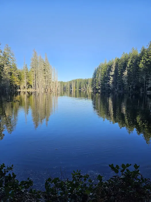 Kammenga Canyon Campground Picture 5