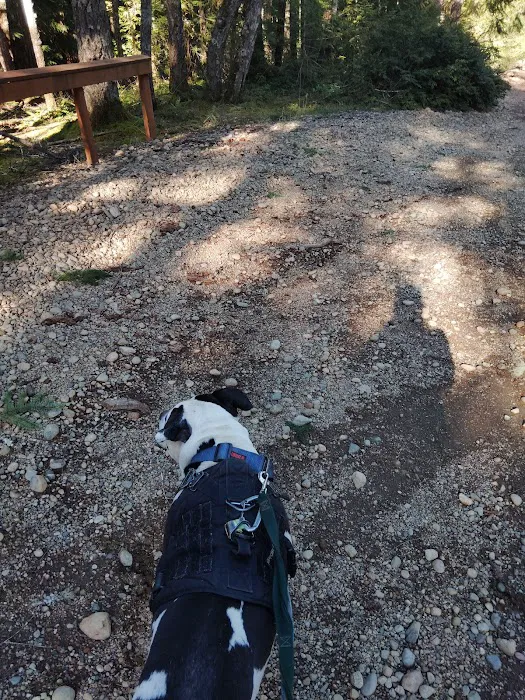Kammenga Canyon Campground Picture 8